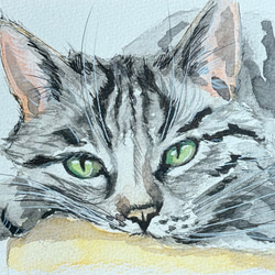 作家様 チーター ネコ科 絵画 水彩画 アート 手描きイラスト 原画 猫 一点物 作家様 チーター ネコ科 絵画 水彩画 アート 手描きイラスト 原画 猫