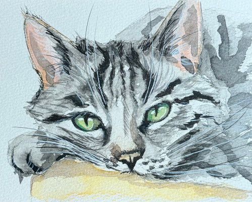 原画 『 黒板の 』アクリル水彩画 絵画 猫 イラスト ねこ アート 原画『 Gaze 』アクリル水彩画 絵画 ねこ アート 猫イラスト 猫