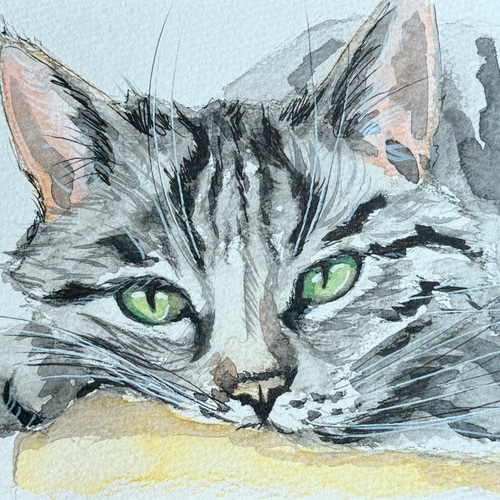 水彩画 原画｜猫ポートレートアート｜緑の瞳の猫イラスト 手描き