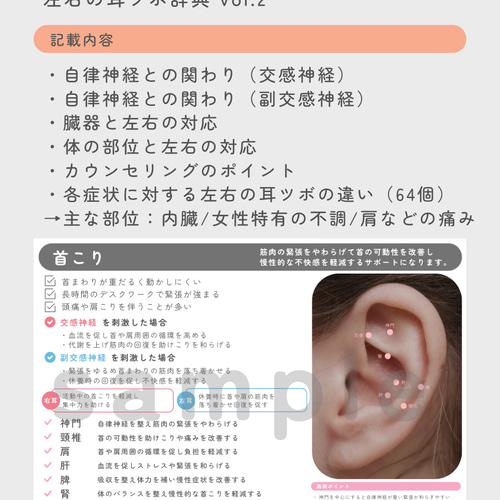 左右の耳ツボ辞典 Vol.1-2セット | 耳ツボ辞典 | 耳つぼジュエリー 左右の耳ツボ辞典 Vol.2 | 耳ツボ辞典 | 耳つぼジュエリー イヤリング