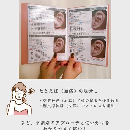 左右の耳ツボ辞典 Vol.2 | 耳ツボ辞典 | 耳つぼジュエリー イヤリング