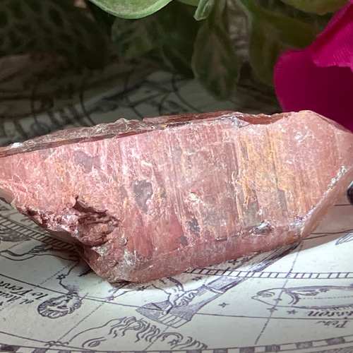 ブラジル ゴイアス州産 レッド レムリアンシードクリスタル 原石 赤