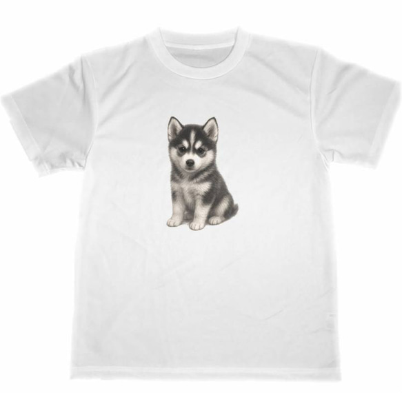 シベリアンハスキー　ドライ　Tシャツ　子犬　仔犬　DOG　グッズ　Siberian Husky　T-shirt 1枚目の画像