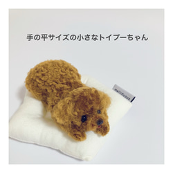 羊毛フェルト犬｜トイプー｜トイプーミックス｜うちの子オーダー受付中 うちの子オーダー2025｜羊毛フェルト犬｜トイプー｜トイプー