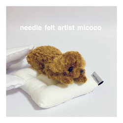 羊毛フェルト犬｜トイプー｜トイプーミックス｜うちの子オーダー受付中 うちの子オーダー2025｜羊毛フェルト犬｜トイプー｜トイプーミックス