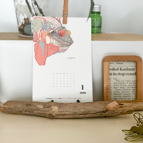 爬虫類両生類たちのミニカレンダー2026 chippitomu カレンダー