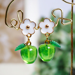 青リンゴ姫 ピアス（スタッド・一粒） Little Lazuli 通販 19780928