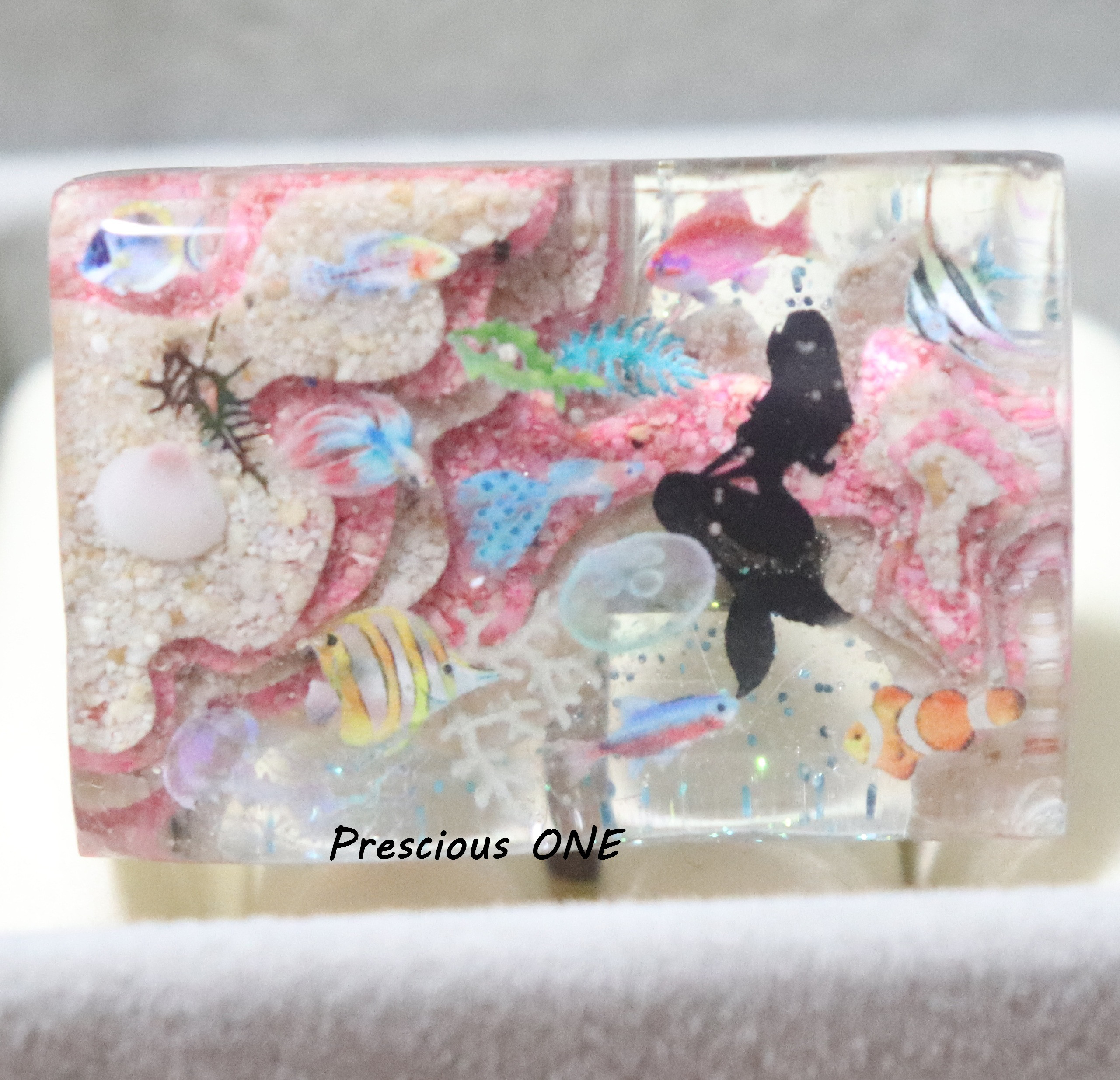 Ocean topography（海の地形）～Tropical Marine（rectangle）～
