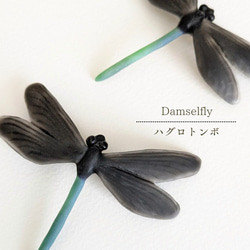 【夏秋限定】ハグロトンボのピンバッジ 10枚目の画像