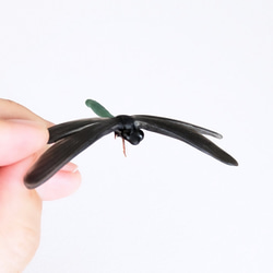 【夏秋限定】ハグロトンボのピンバッジ 5枚目の画像