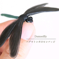 【夏秋限定】ハグロトンボのピンバッジ 1枚目の画像