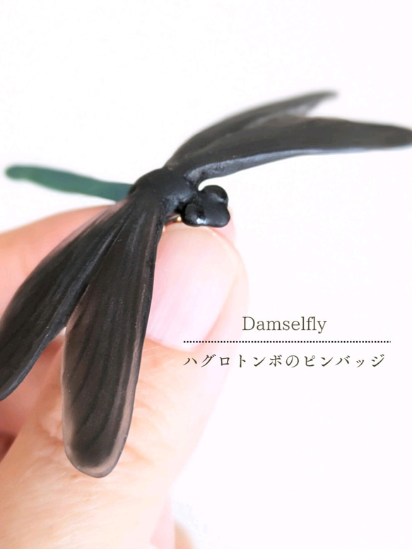 【夏秋限定】ハグロトンボのピンバッジ 1枚目の画像