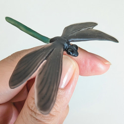 【夏秋限定】ハグロトンボのピンバッジ 7枚目の画像