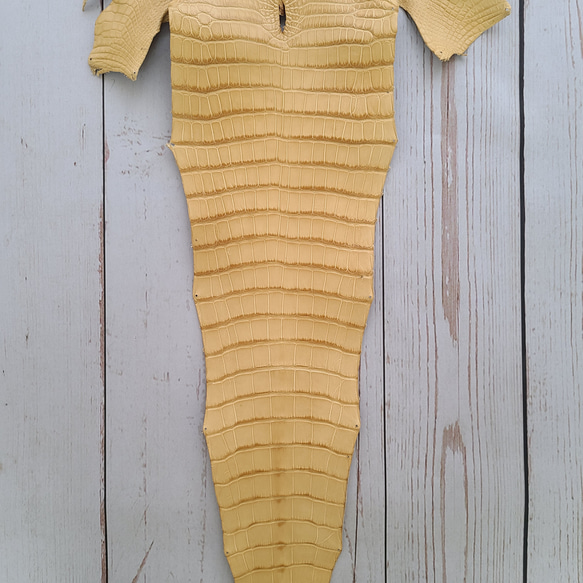 ワニ革  クレイ仕上げ  ウィート「長財布向け」サイズ No.CM0153 5枚目の画像