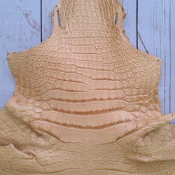 ワニ革  クレイ仕上げ  ウィート「長財布向け」サイズ No.CM0153 3枚目の画像