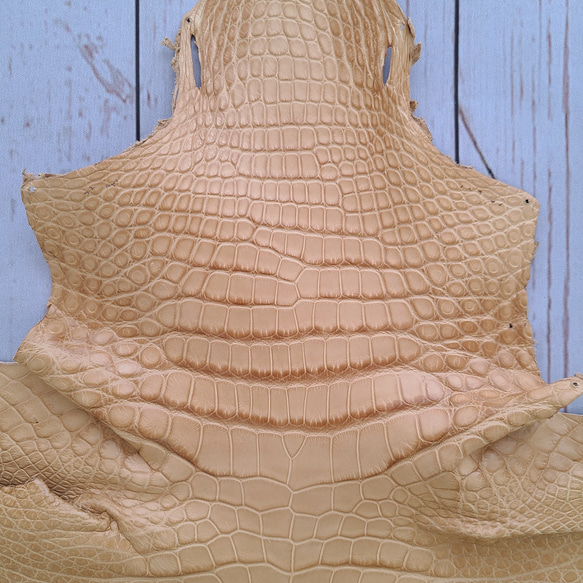 ワニ革  クレイ仕上げ  ウィート「長財布向け」サイズ No.CM0153 3枚目の画像