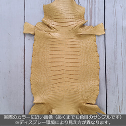 ワニ革  クレイ仕上げ  ウィート「長財布向け」サイズ No.CM0153 2枚目の画像