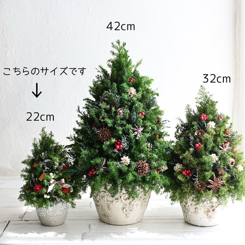 ミニサイズ☆クリスマスツリーレッド＊22cm＊プリザーブド卓上サイズ