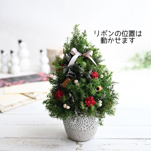 ミニサイズ☆クリスマスツリーレッド＊22cm＊プリザーブド卓上サイズ