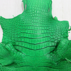 ワニ革  クレイ&シュリンクフィニッシュ パラキートグリーン「長財布向け」サイズ No.CM0200 3枚目の画像