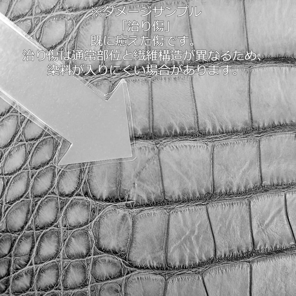 ワニ革  クレイ&シュリンクフィニッシュ パラキートグリーン「長財布向け」サイズ No.CM0200 9枚目の画像