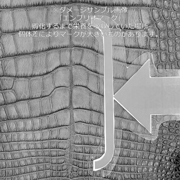 ワニ革  クレイ&シュリンクフィニッシュ パラキートグリーン「長財布向け」サイズ No.CM0200 13枚目の画像