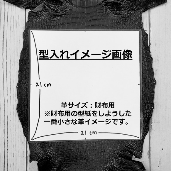 ワニ革  クレイ&シュリンクフィニッシュ パラキートグリーン「長財布向け」サイズ No.CM0200 8枚目の画像
