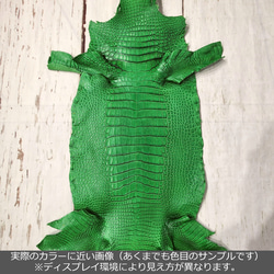 ワニ革  クレイ&シュリンクフィニッシュ パラキートグリーン「長財布向け」サイズ No.CM0200 2枚目の画像