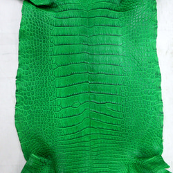 ワニ革  クレイ&シュリンクフィニッシュ パラキートグリーン「長財布向け」サイズ No.CM0200 4枚目の画像