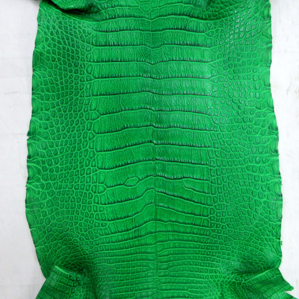 ワニ革  クレイ&シュリンクフィニッシュ パラキートグリーン「長財布向け」サイズ No.CM0200 4枚目の画像