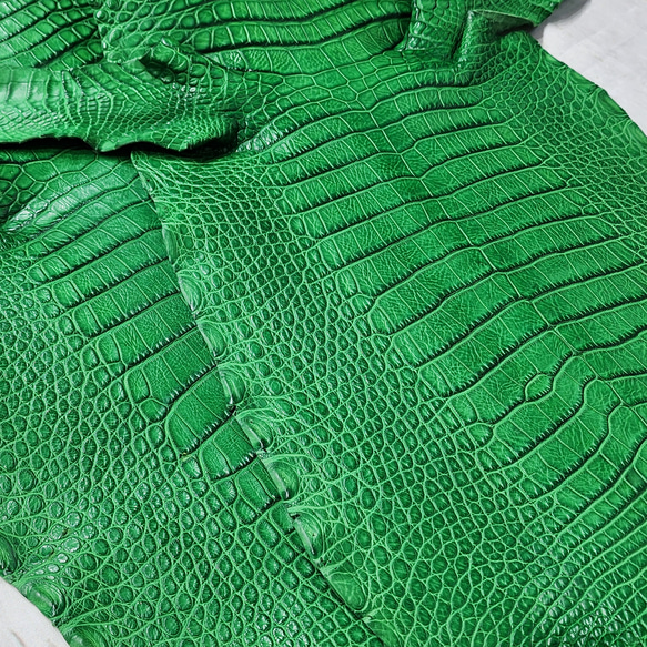 ワニ革  クレイ&シュリンクフィニッシュ パラキートグリーン「長財布向け」サイズ No.CM0200 14枚目の画像