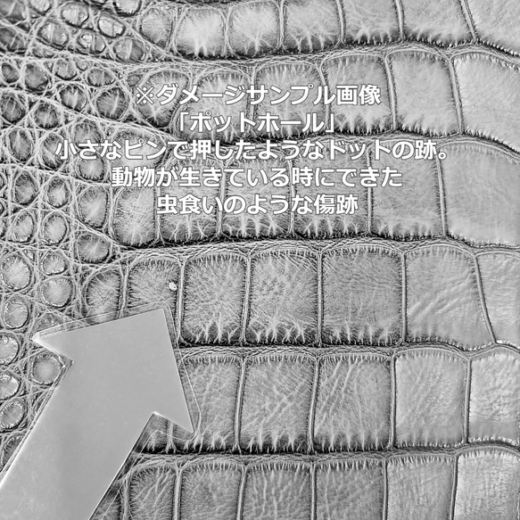 ワニ革  クレイ&シュリンクフィニッシュ パラキートグリーン「長財布向け」サイズ No.CM0200 10枚目の画像