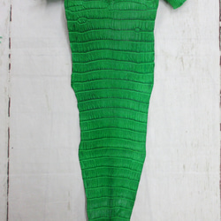 ワニ革  クレイ&シュリンクフィニッシュ パラキートグリーン「長財布向け」サイズ No.CM0200 5枚目の画像