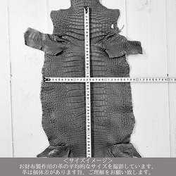 ワニ革  クレイ&シュリンクフィニッシュ パラキートグリーン「長財布向け」サイズ No.CM0200 7枚目の画像