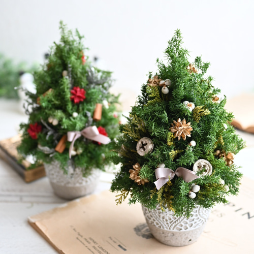 小さなクリスマスツリー緑*プリザーブドフラワー*真鍮*ドライフラワー 超早割クリスマス2025 プリザーブドドライフラワー キラキラのトナカイ