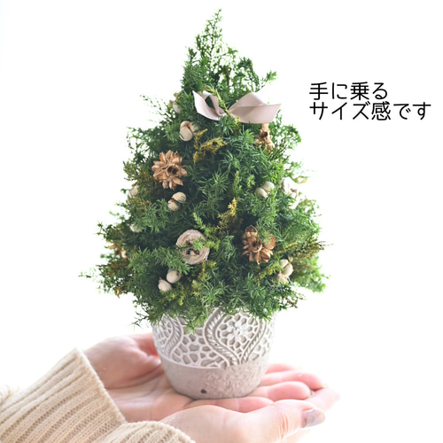 ミニサイズ☆クリスマスツリーゴールド＊22cm＊プリザーブド卓上サイズ