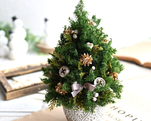 4d7126a613ea274286e6639c93b9db