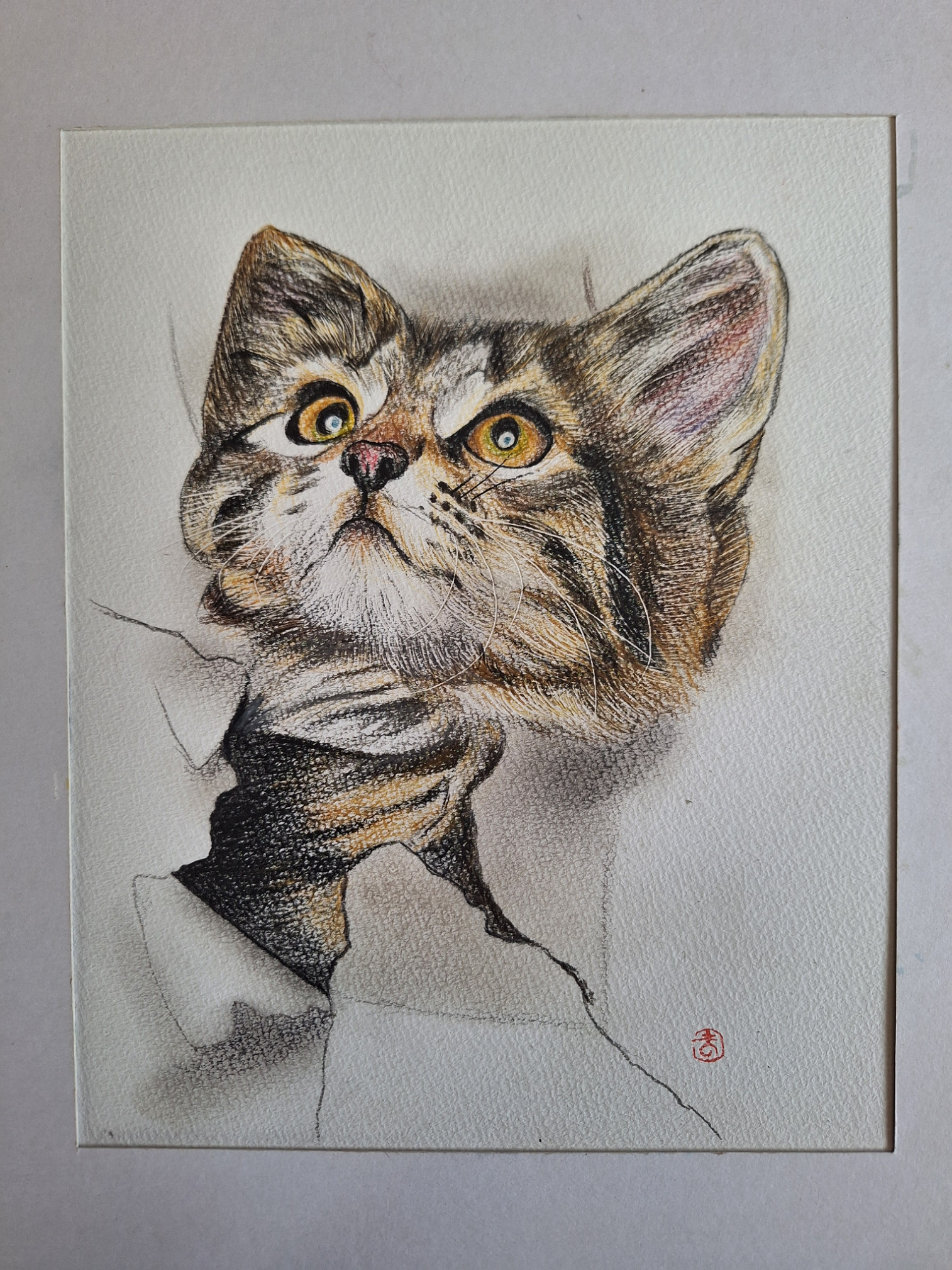 色鉛筆画 いたずらな子猫 絵画 makochin 通販 19782766｜Creema