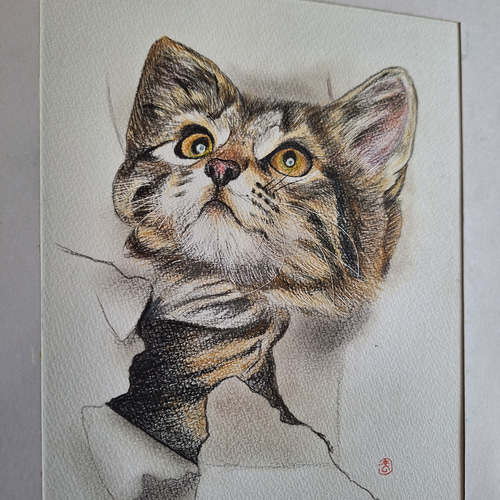 色鉛筆画 A4.仔猫2 色鉛筆画 A4.仔猫2 色鉛筆画A4 仔猫 - メルカリ