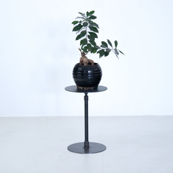 ☆送料込み☆植物棚スターターセット即購入OK 植物育成 ボタニカル