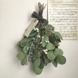 ユーカリのスワッグ ドライフラワー スワッグ Eucalyptus 通販