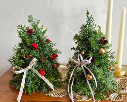 3cc50aec865570cd74a0756666d13d