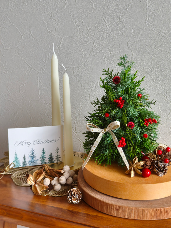 木の実の台つきクリスマスツリーセット ナチュラルクリスマス2025 超早