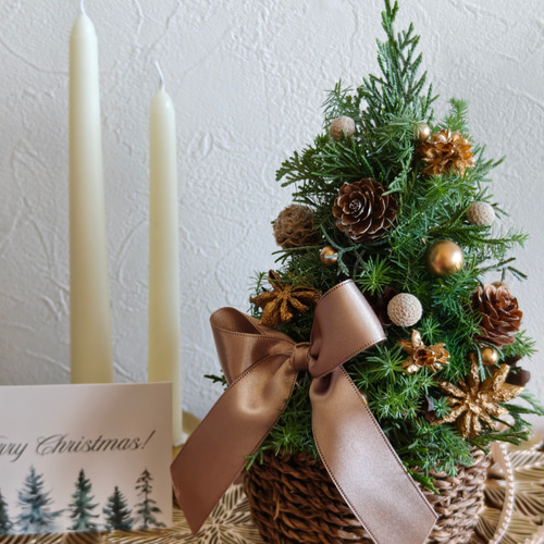 ボタニカルゴールドのクリスマスツリー ナチュラルクリスマス2025 超早