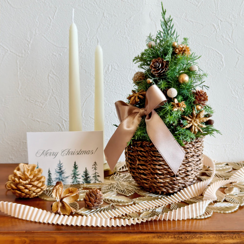 ボタニカルゴールドのクリスマスツリー ナチュラルクリスマス2025 超早