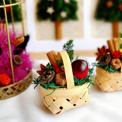 5set fd【winter scenery】もみの木ミニスワッグのナチュラル