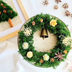 ユーカリとスモークツリーのスワッグ スワッグ GREEN ROSE 通販