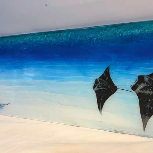 壁掛けアートパネル マンタスクランブル Bタイプ ブルーオーシャン