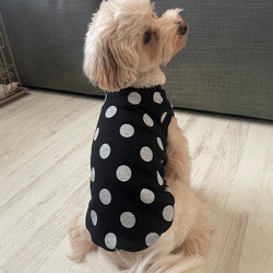 犬服！選べる3色⚫️ドット柄タンク⭐︎XS.S.M.DXS.DS.DM 3枚目の画像