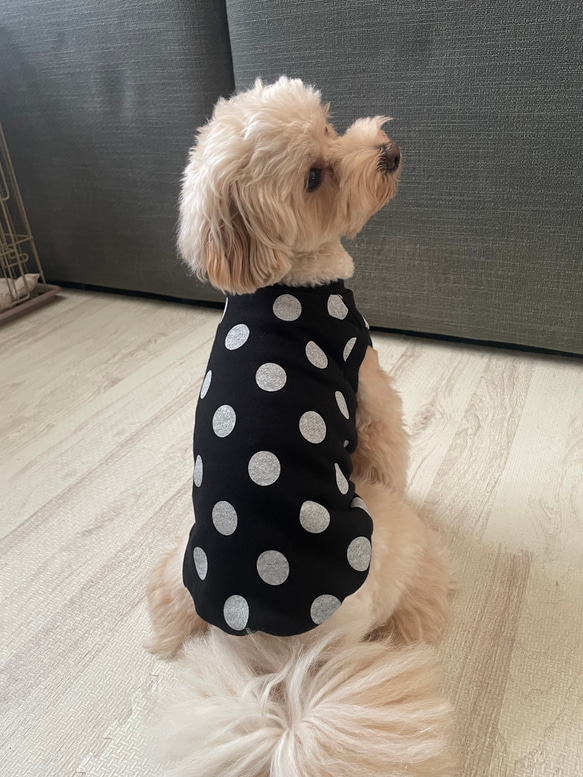 犬服！選べる3色⚫️ドット柄タンク⭐︎XS.S.M.DXS.DS.DM 3枚目の画像